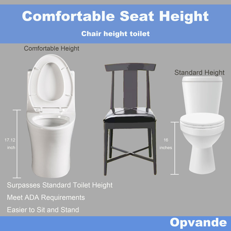 Glossy White Ceramic Dual Flush Elongated One-Piece Toilet