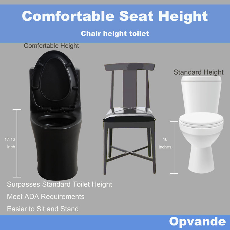 Matte Black Ceramic One-Piece Dual Flush Elongated Toilet