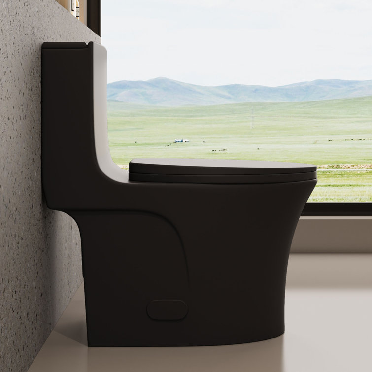 Matte Black Ceramic One-Piece Dual Flush Elongated Toilet