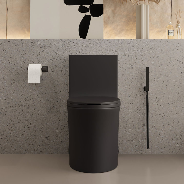 Matte Black Ceramic One-Piece Dual Flush Elongated Toilet