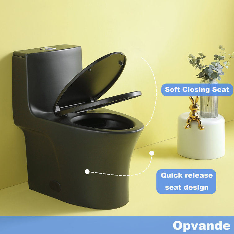 Matte Black Ceramic One-Piece Dual Flush Elongated Toilet