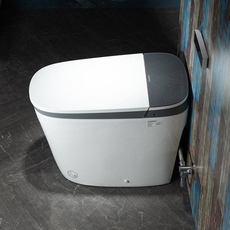 White Porcelain Elongated Dual Flush One-Piece Smart Toilet