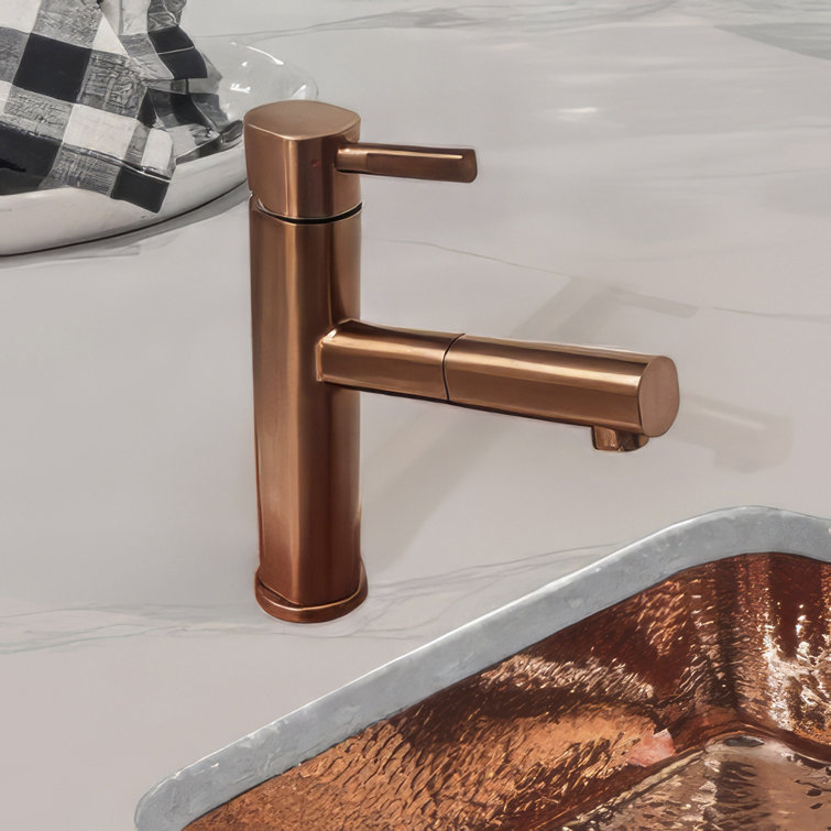 Modern Stainless Steel Pull-Out Spray Kitchen Faucet