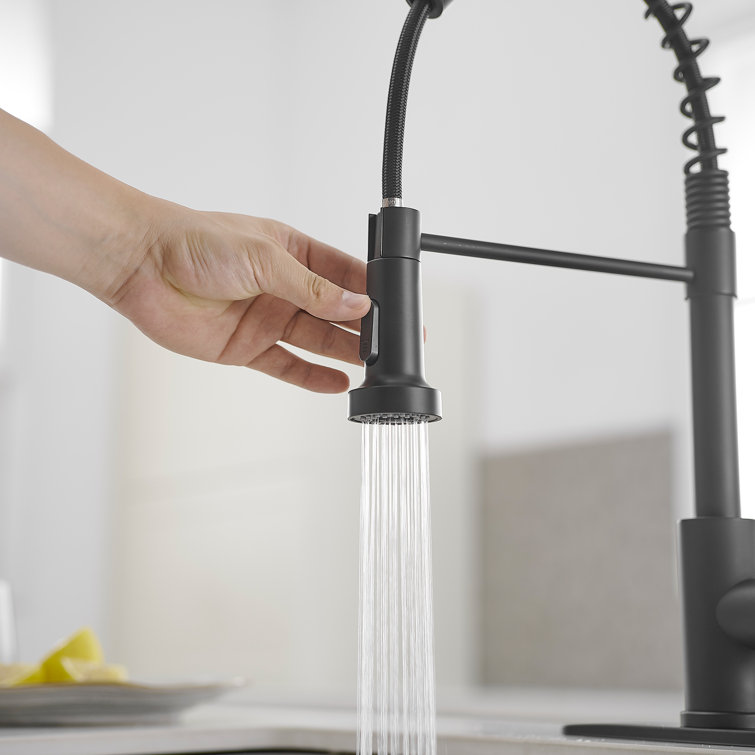 Matte Black Single-Handle Pull-Down Sprayer Kitchen Faucet