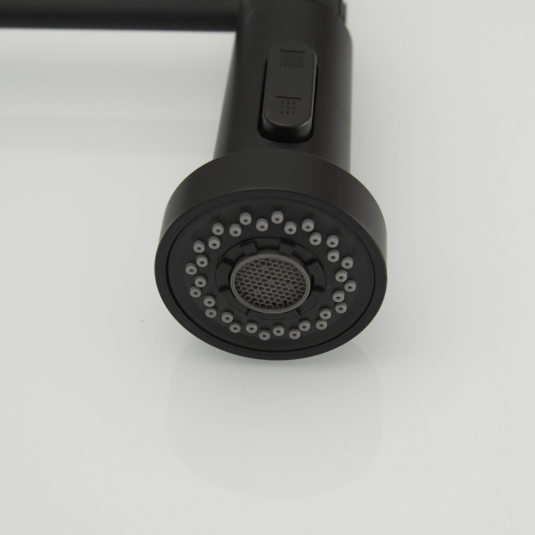 Matte Black Single-Handle Pull-Down Sprayer Kitchen Faucet