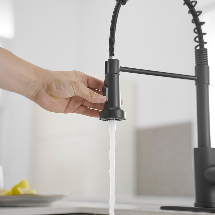 Matte Black Single-Handle Pull-Down Sprayer Kitchen Faucet