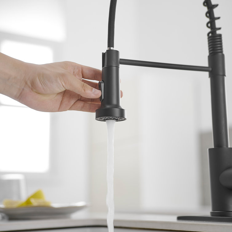 Matte Black Single-Handle Pull-Down Sprayer Kitchen Faucet
