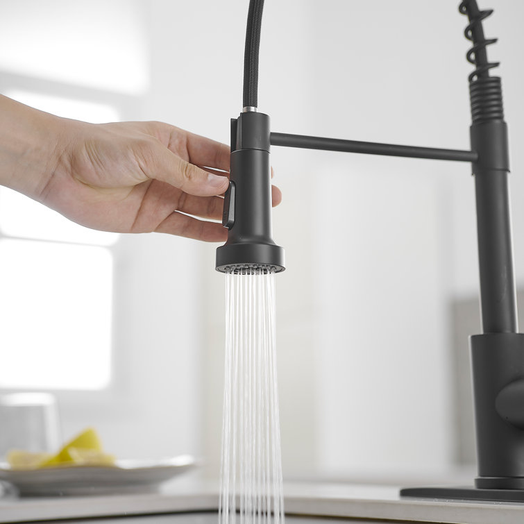 Matte Black Single-Handle Pull-Down Sprayer Kitchen Faucet