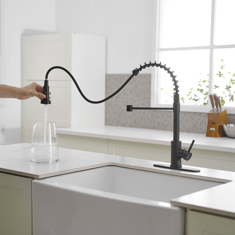 Matte Black Single-Handle Pull-Down Sprayer Kitchen Faucet