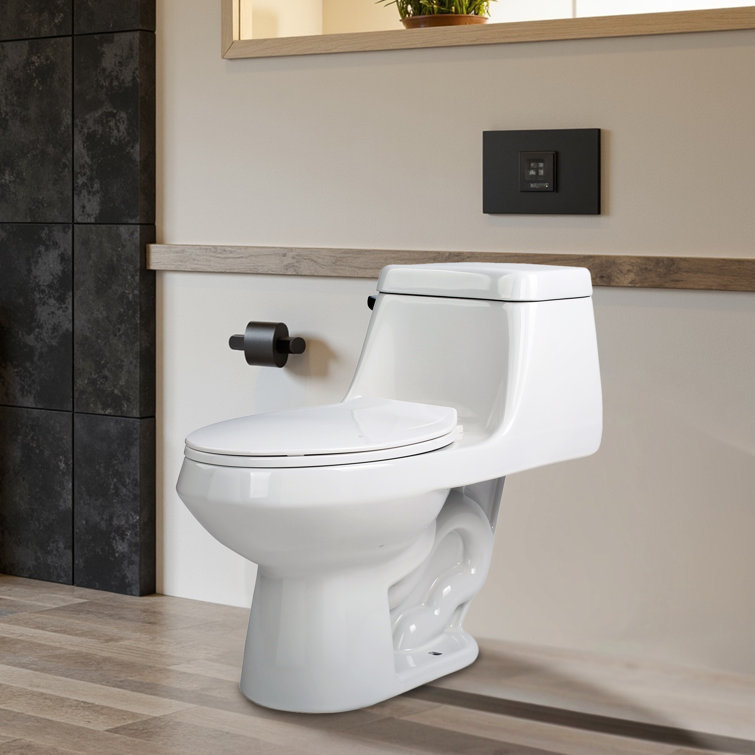 Zeus White Vitreous China Elongated One-Piece Toilet with Dual Flush