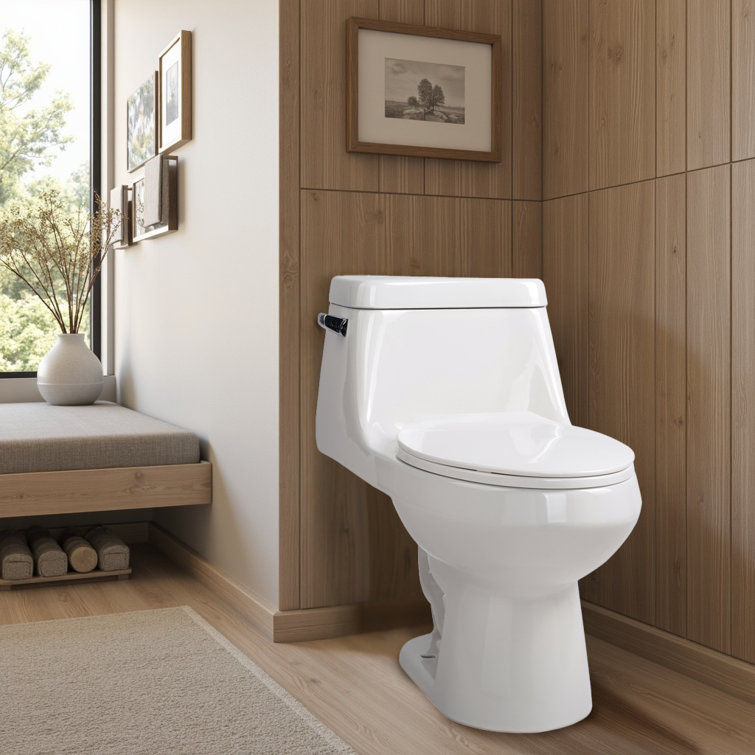 Zeus White Vitreous China Elongated One-Piece Toilet with Dual Flush