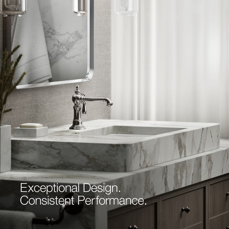 Vibrant Titanium Single Hole Bathroom Faucet with Drain Assembly