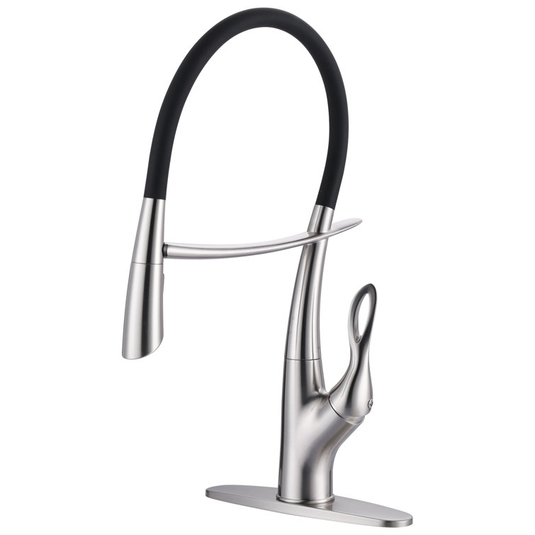 Brushed Nickel Single-Handle Pull-Out Kitchen Faucet with Spray