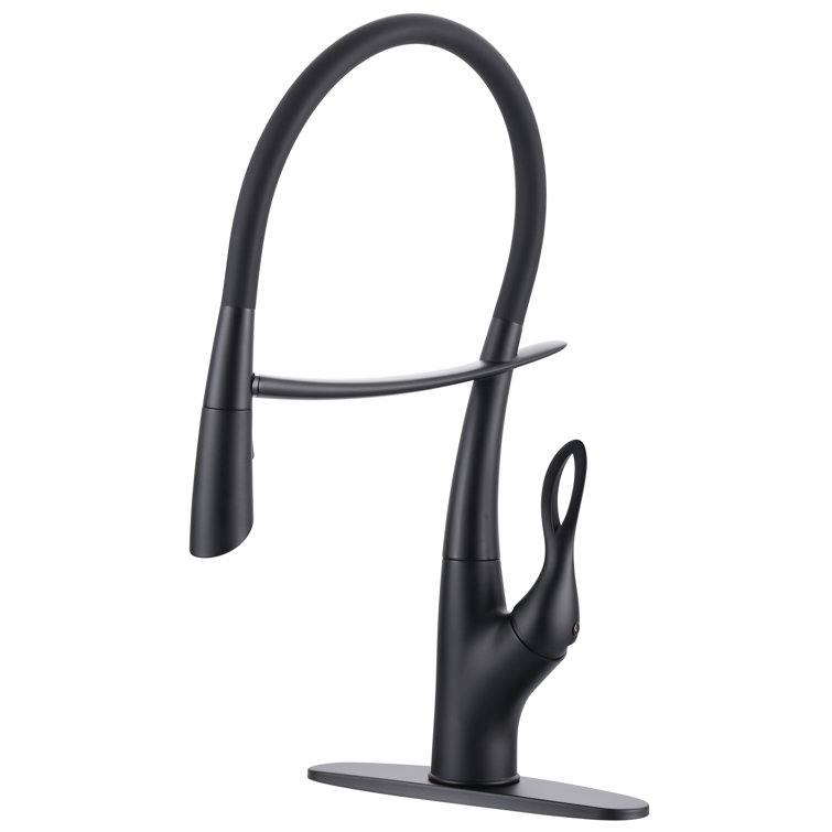 Matte Black Single-Handle Pull-Out Kitchen Faucet with Deckplate