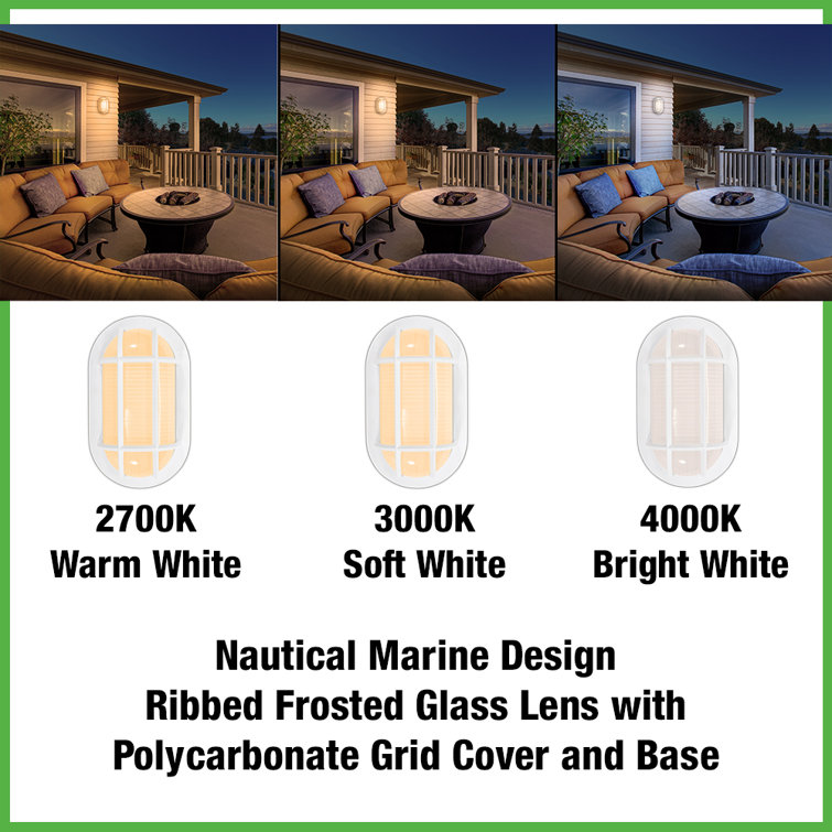 8.5in White Frosted Glass LED Bulkhead Light