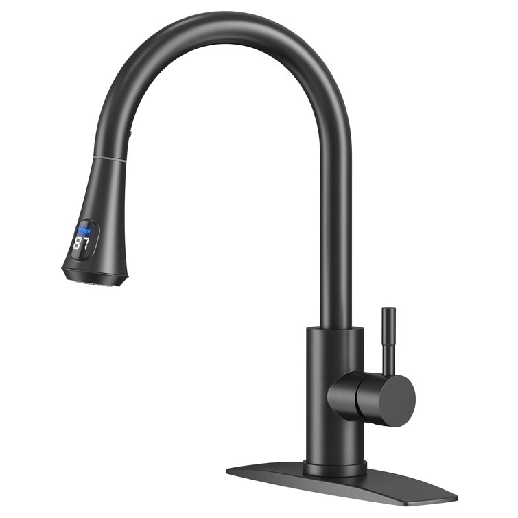 Matte Black Stainless Steel LED Kitchen Faucet with Pull Down Sprayer