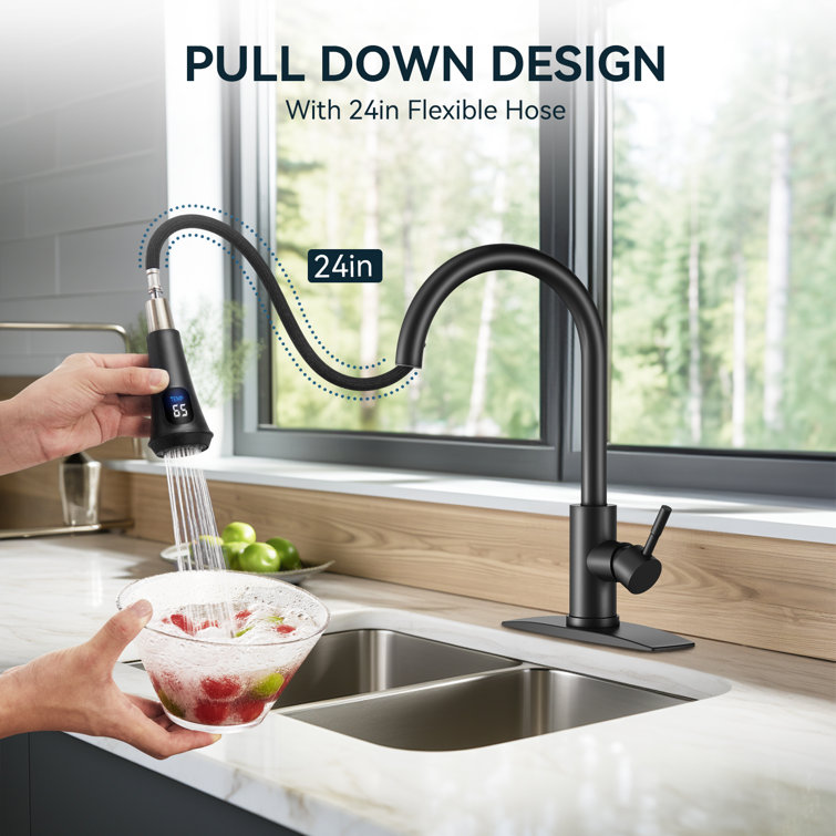 Matte Black Stainless Steel LED Kitchen Faucet with Pull Down Sprayer