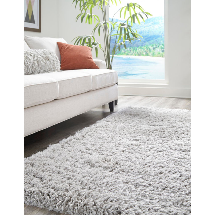 Silver Screen Shag 4x6 ft Rectangular Area Rug with Braided Fringe