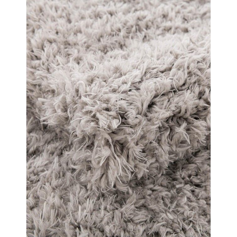Silver Screen Shag 4x6 ft Rectangular Area Rug with Braided Fringe
