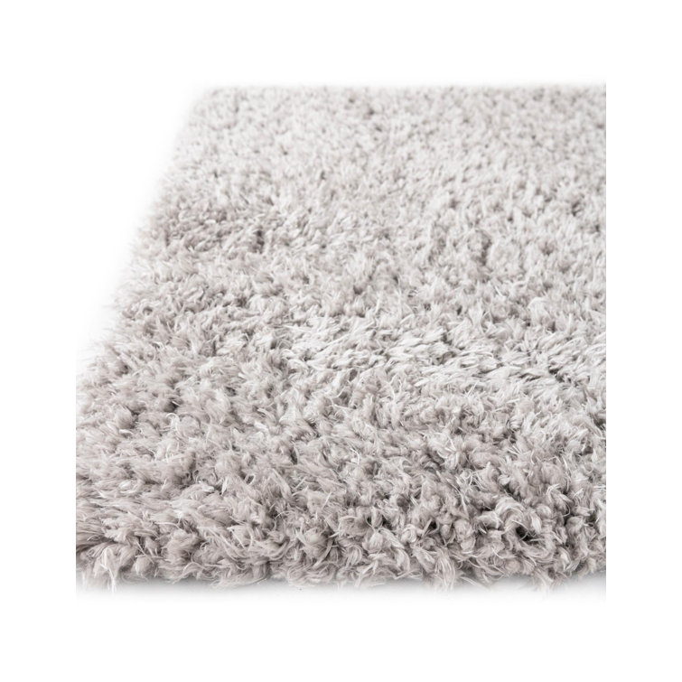 Silver Screen Shag 4x6 ft Rectangular Area Rug with Braided Fringe