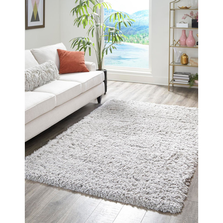 Silver Screen Shag 4x6 ft Rectangular Area Rug with Braided Fringe