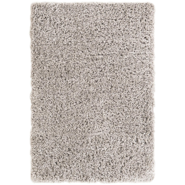 Silver Screen Shag 4x6 ft Rectangular Area Rug with Braided Fringe