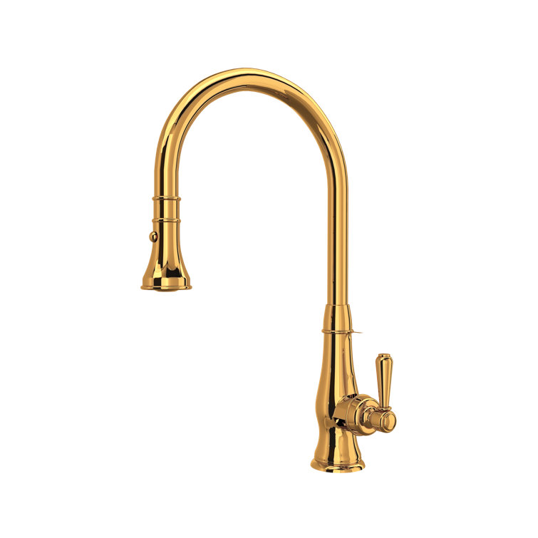 Classic Patrizia Polished Nickel Pull-out Spray Kitchen Faucet