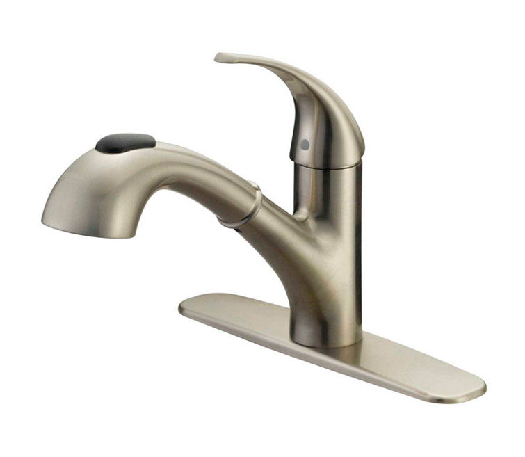 Brushed Nickel Pull-Out Kitchen Faucet with High Arc Spout