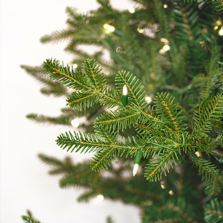 6.5' Pre-Lit White LED Fraser Fir Christmas Tree