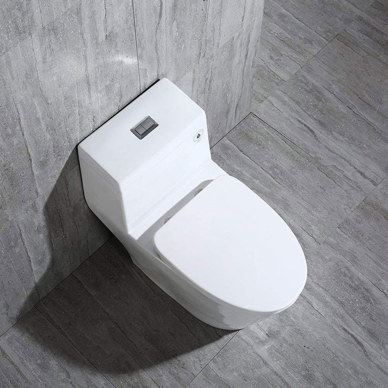 White Elongated One-Piece Dual Flush Toilet with Chrome Button