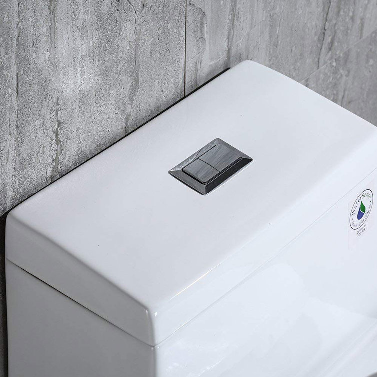 White Elongated One-Piece Dual Flush Toilet with Chrome Button