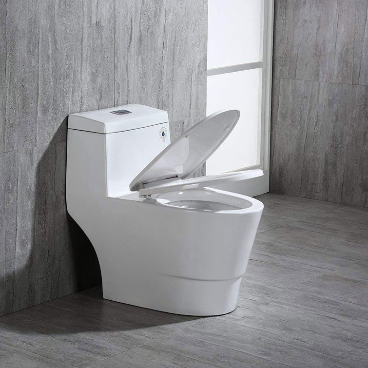 White Elongated One-Piece Dual Flush Toilet with Chrome Button