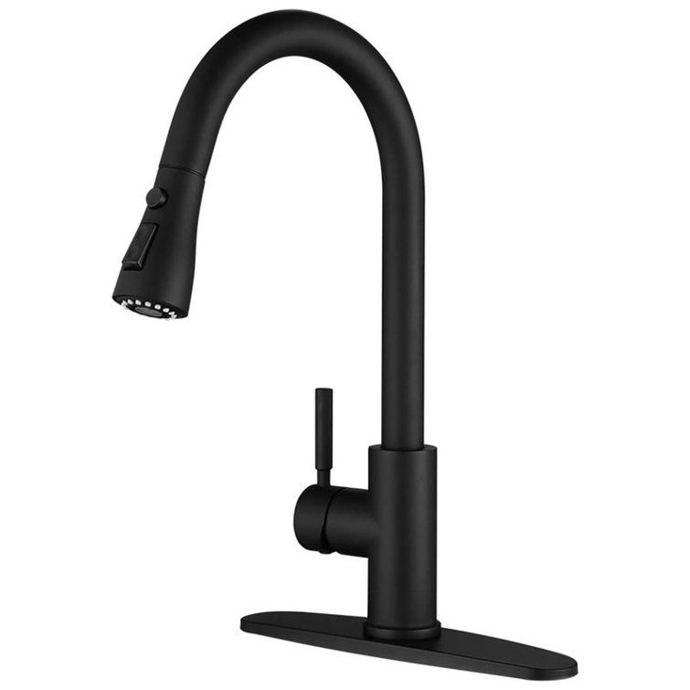 Matte Black Stainless Steel Pull Down Kitchen Faucet with Single Handle