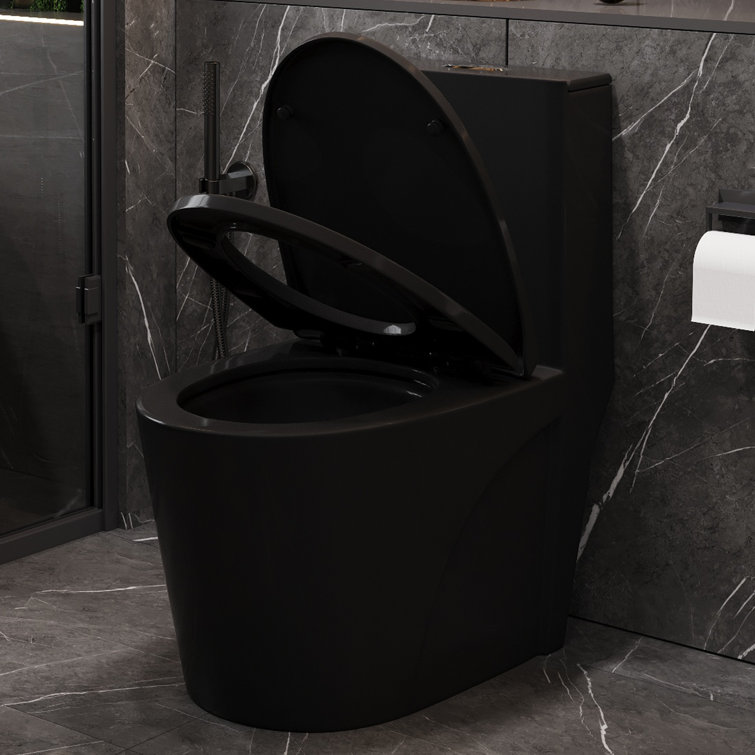 Matte Black Ceramic Elongated One-Piece Dual Flush Toilet