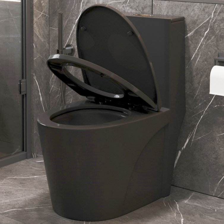 Matte Black Ceramic Elongated One-Piece Dual Flush Toilet