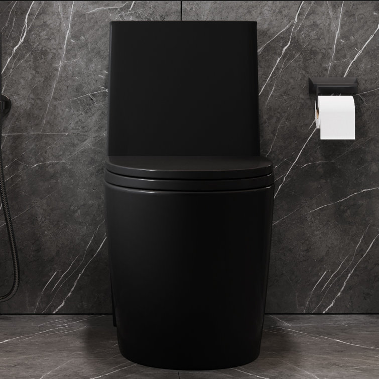 Matte Black Ceramic Elongated One-Piece Dual Flush Toilet