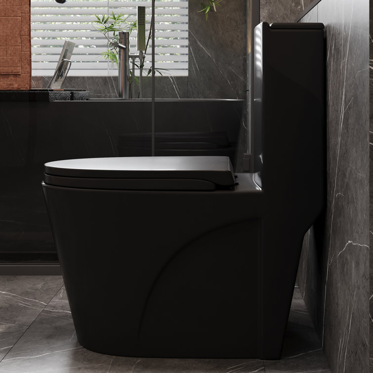 Matte Black Ceramic Elongated One-Piece Dual Flush Toilet