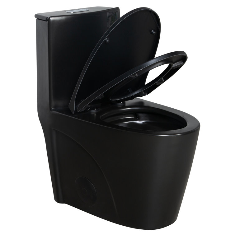 Matte Black Ceramic Elongated One-Piece Dual Flush Toilet