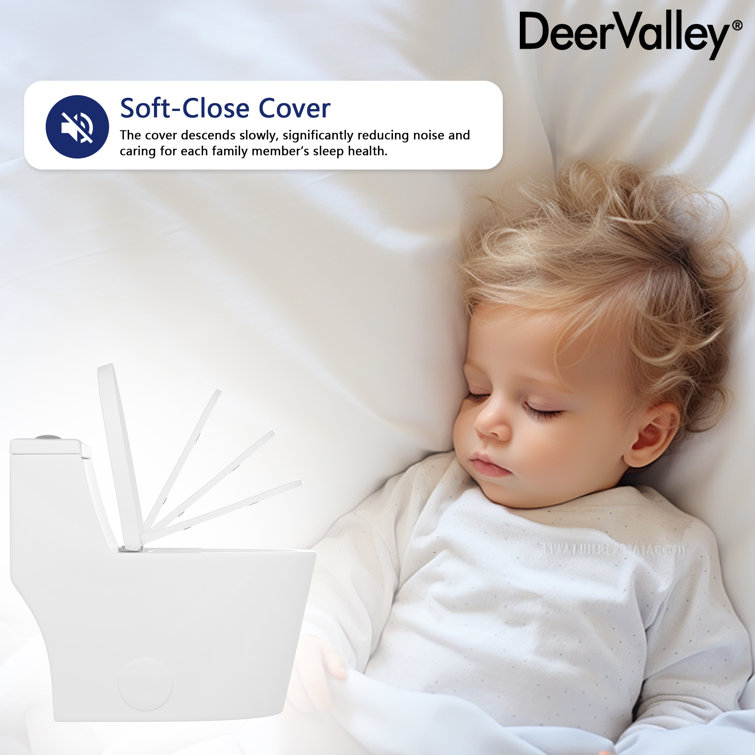 White Elongated Dual-Flush One-Piece Toilet with Silver Button