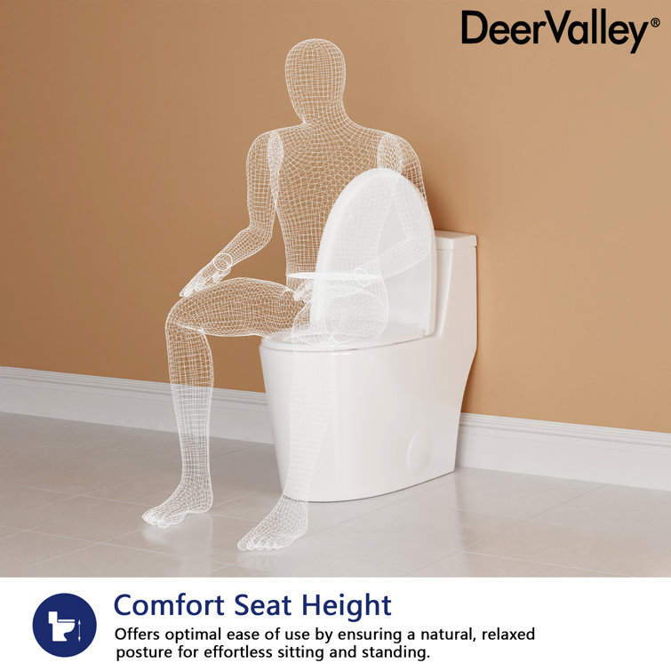 White Elongated Dual-Flush One-Piece Toilet with Silver Button