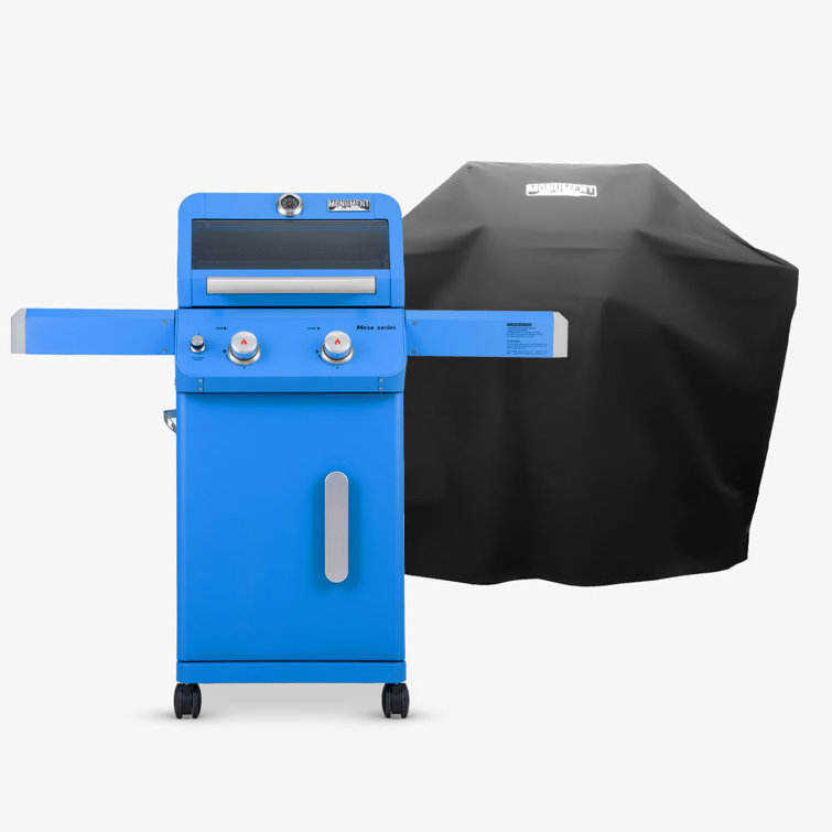 Blue 2-Burner Propane Gas Grill with Clear View Lid