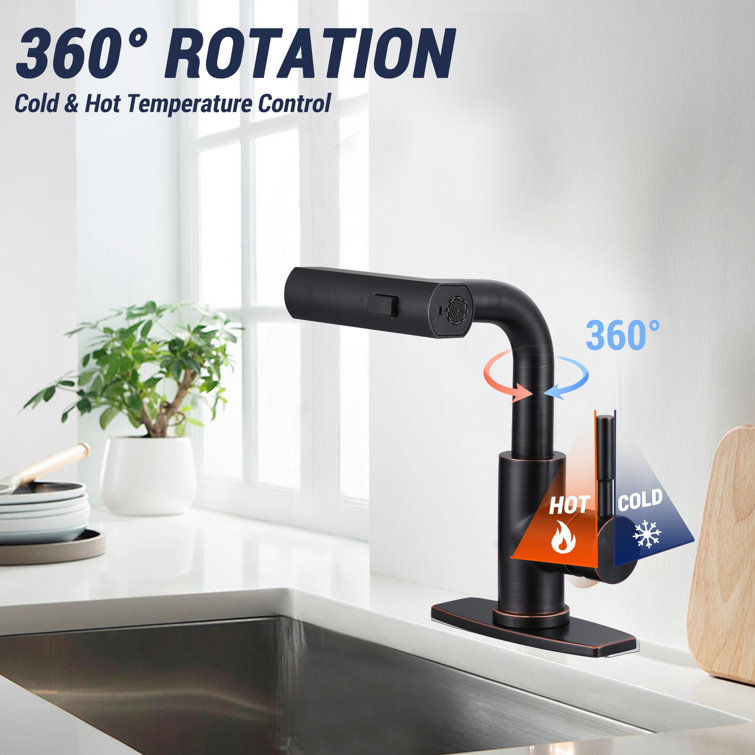 Oil Rubbed Bronze Single Handle Pull-Out Spray Bar Faucet