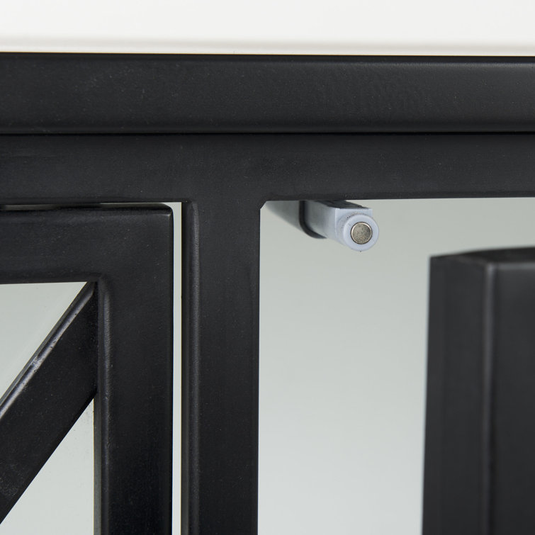 Diego 33'' Black and White Modern Glass Door Storage Cabinet