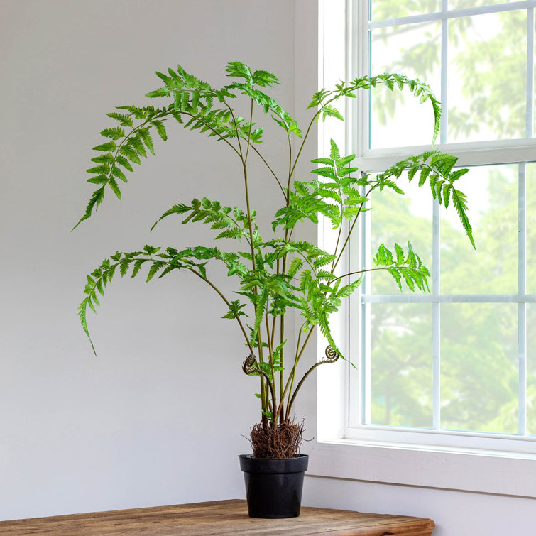 Large Green Plastic Fern in Black Growers Pot