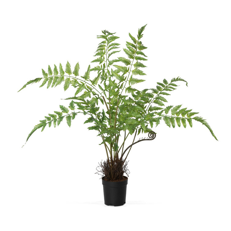 Large Green Plastic Fern in Black Growers Pot