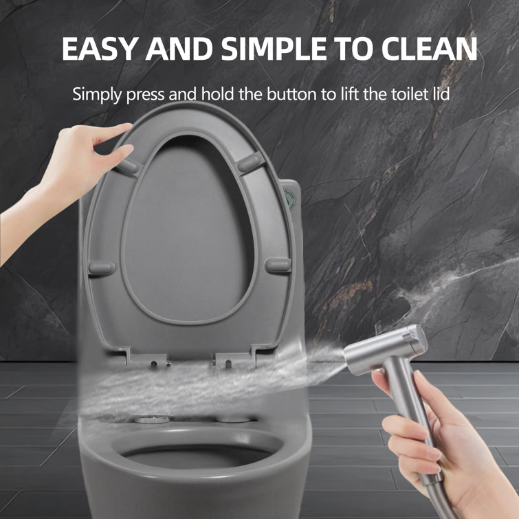 Light Gray Ceramic Dual-Flush Elongated One-Piece Toilet
