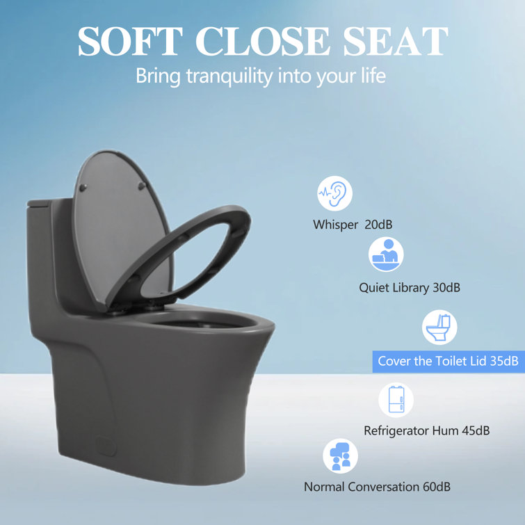 Light Gray Elongated Dual Flush One-Piece Toilet with Soft Closing Seat