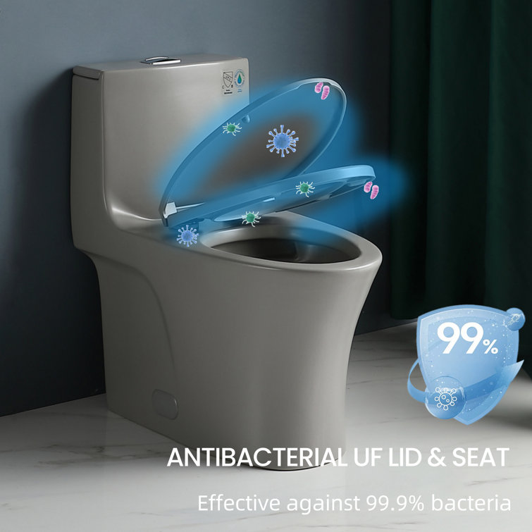 Light Gray Elongated Dual Flush One-Piece Toilet with Soft Closing Seat