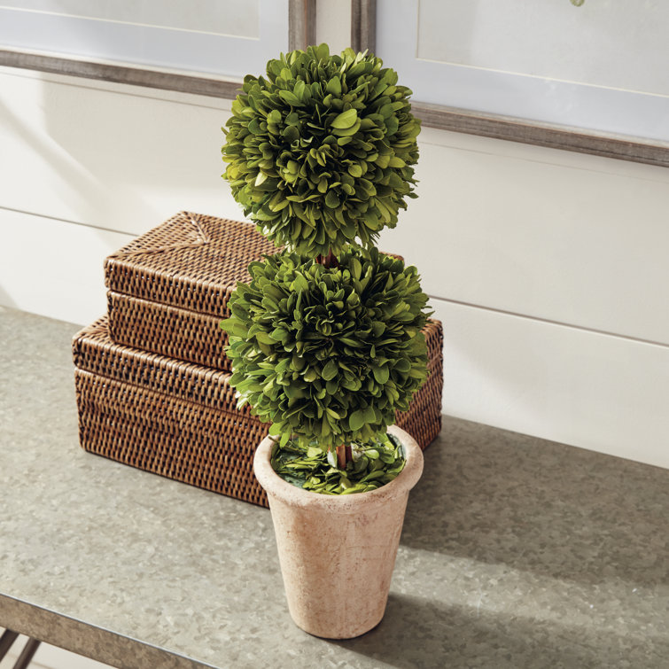 20" Green Boxwood Double Sphere Topiary in Beige Ceramic Pot