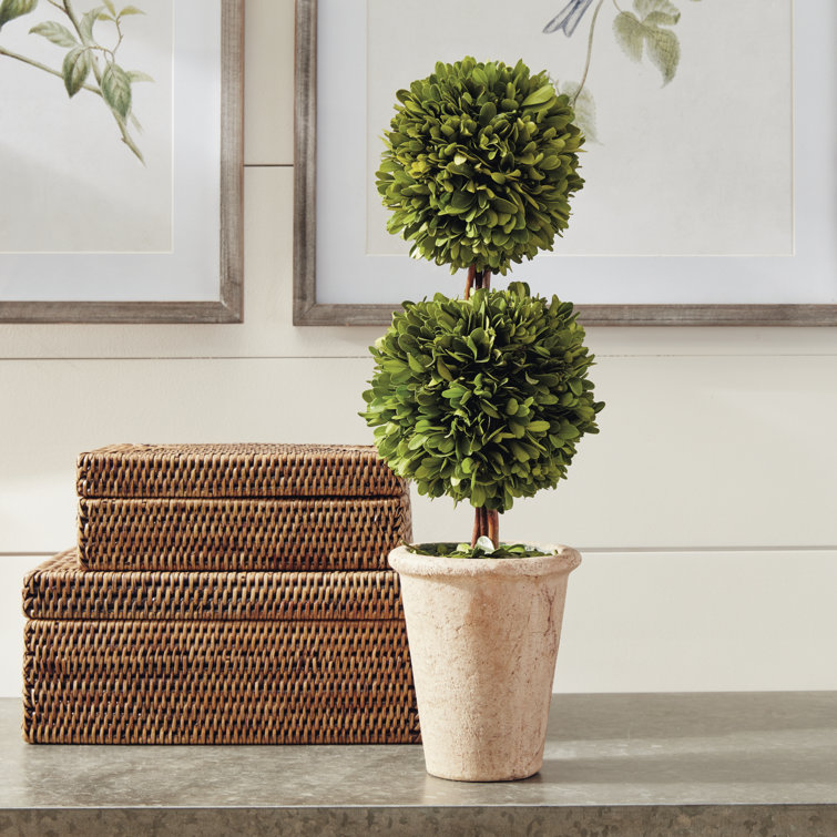 20" Green Boxwood Double Sphere Topiary in Beige Ceramic Pot